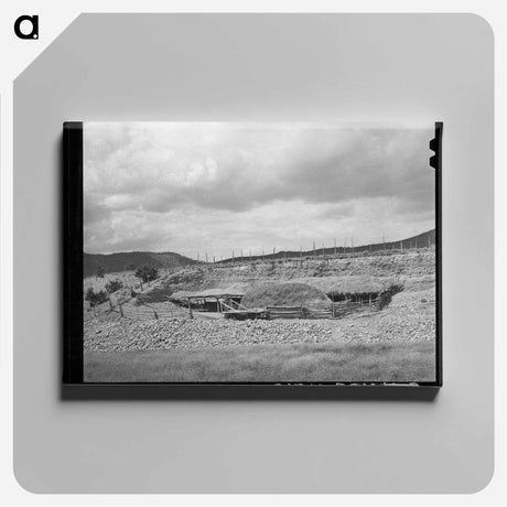 アートパネル-Livestock Shelter, Questa, New Mexico
 - ラッセル リー Canvas.