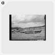 アートポストカード-Livestock Shelter, Questa, New Mexico
 - ラッセル リー Postcard.
