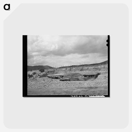 アートポストカード-Livestock Shelter, Questa, New Mexico
 - ラッセル リー Postcard.