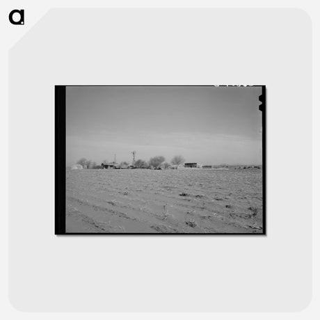 アートポストカード-Farmstead, Dawson County, Texas
 - ラッセル リー Postcard.
