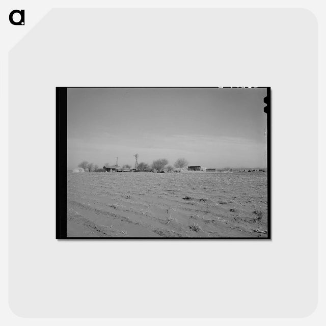 アートポストカード-Farmstead, Dawson County, Texas
 - ラッセル リー Postcard.