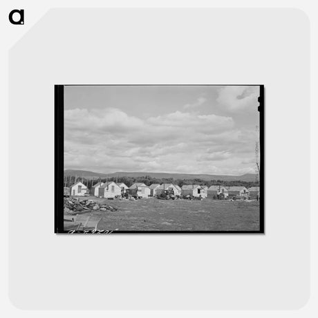 アートポストカード-Housing for Hop Pickers, Yakima County
 - ラッセル リー Postcard.