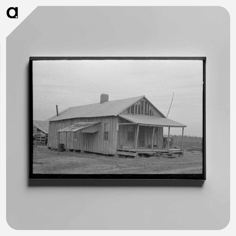 アートパネル-Sharecropper's Dwelling near Pace, Mississippi
 - ラッセル リー Canvas.