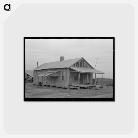 アートポストカード-Sharecropper's Dwelling near Pace, Mississippi
 - ラッセル リー Postcard.