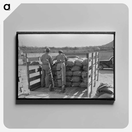アートパネル-Stock Salt and Cotton Seed Meal at Kimble County Warehouse
 - ラッセル リー Canvas.