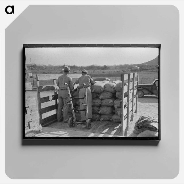 アートパネル-Stock Salt and Cotton Seed Meal at Kimble County Warehouse
 - ラッセル リー Canvas.