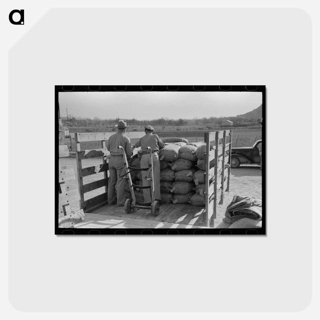 アートポストカード-Stock Salt and Cotton Seed Meal at Kimble County Warehouse
 - ラッセル リー Postcard.