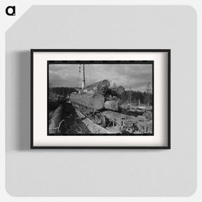 アートポスター-Logs on Flatcar, Long Bell Lumber Company, Cowlitz County, Washington
 - ラッセル リー Poster.