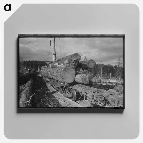 アートパネル-Logs on Flatcar, Long Bell Lumber Company, Cowlitz County, Washington
 - ラッセル リー Canvas.