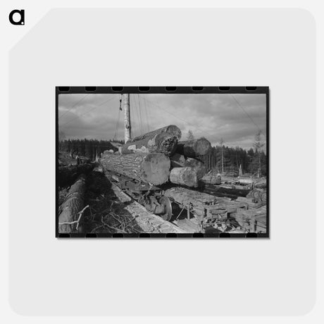 アートポストカード-Logs on Flatcar, Long Bell Lumber Company, Cowlitz County, Washington
 - ラッセル リー Postcard.