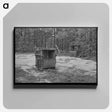 アートパネル-Moss Press, Pine Area, New Jersey
 - ラッセル リー Canvas.