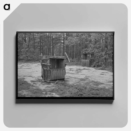 アートパネル-Moss Press, Pine Area, New Jersey
 - ラッセル リー Canvas.