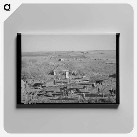 アートパネル-Farmstead and Farmland, Norton County, Kansas
 - ラッセル リー Canvas.