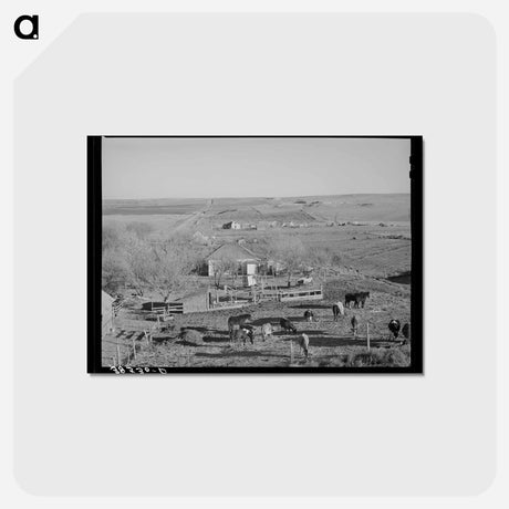 アートポストカード-Farmstead and Farmland, Norton County, Kansas
 - ラッセル リー Postcard.
