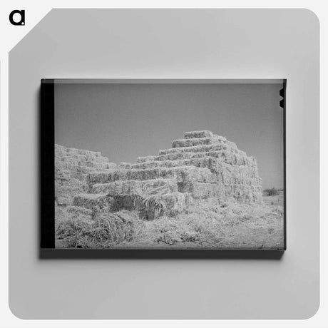 アートパネル-Baled Hay, Casa Grande Valley Farms, Pinal County, Arizona
 - ラッセル リー Canvas.