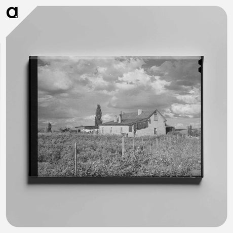 アートパネル-Farmstead, Concho, Arizona
 - ラッセル リー Canvas.