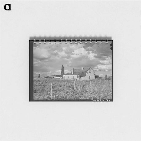 アートメモ帳-Farmstead, Concho, Arizona
 - ラッセル リー Memo.