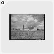 アートポストカード-Farmstead, Concho, Arizona
 - ラッセル リー Postcard.