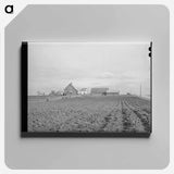 アートパネル-Travis County Farmhouse
 - ラッセル リー Canvas.