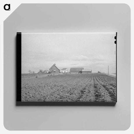 アートパネル-Travis County Farmhouse
 - ラッセル リー Canvas.
