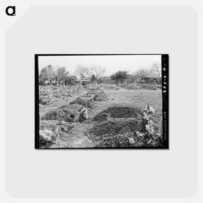 アートポストカード-New Mexican Graves in Cemetery, Raymondville, Texas
 - ラッセル リー Postcard.