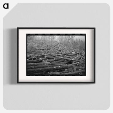 Logs, Long Bell Lumber Company, Cowlitz County, Washington
 - ラッセル リー Poster.