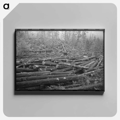 アートパネル-Logs, Long Bell Lumber Company, Cowlitz County, Washington
 - ラッセル リー Canvas.