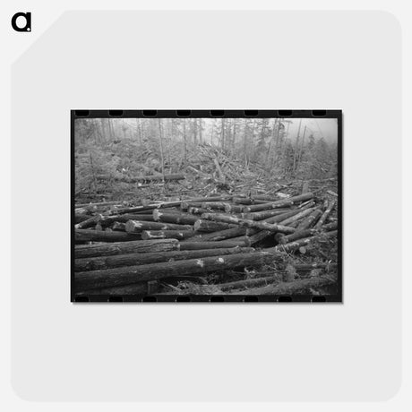 アートポストカード-Logs, Long Bell Lumber Company, Cowlitz County, Washington
 - ラッセル リー Postcard.