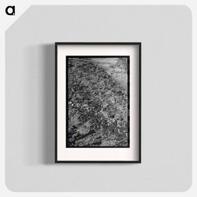 アートポスター-Stream of Waste Oil, Creek County, Oklahoma
 - ラッセル リー Poster.