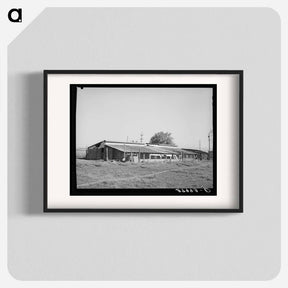 アートポスター-Chicken Houses of Jo Webster, Tehama County, California
 - ラッセル リー Poster.