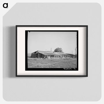 Chicken Houses of Jo Webster, Tehama County, California
 - ラッセル リー Poster.