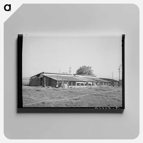 アートパネル-Chicken Houses of Jo Webster, Tehama County, California
 - ラッセル リー Canvas.