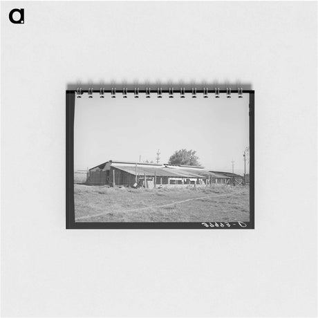 アートメモ帳-Chicken Houses of Jo Webster, Tehama County, California
 - ラッセル リー Memo.