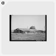 アートポストカード-Chicken Houses of Jo Webster, Tehama County, California
 - ラッセル リー Postcard.