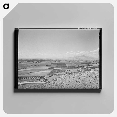 アートパネル-Farming Land and Cherry Orchards, Emmett, Gem County, Idaho
 - ラッセル リー Canvas.
