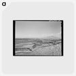 アートポストカード-Farming Land and Cherry Orchards, Emmett, Gem County, Idaho
 - ラッセル リー Postcard.