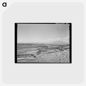 アートポストカード-Farming Land and Cherry Orchards, Emmett, Gem County, Idaho
 - ラッセル リー Postcard.