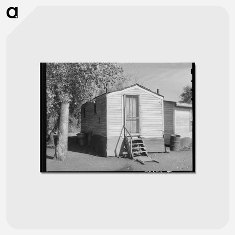 アートポストカード-Transient Workers' Shack
 - ラッセル リー Postcard.