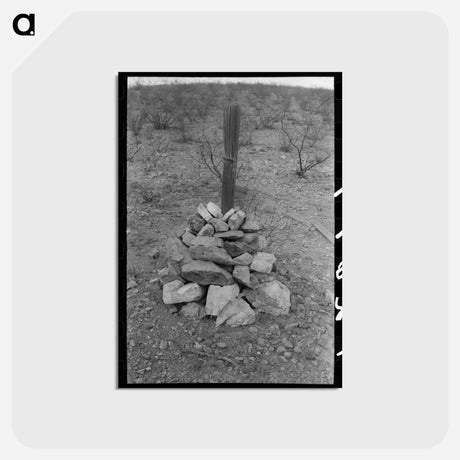 アートポストカード-Prospector's Monument, Cochise County
 - ラッセル リー Postcard.
