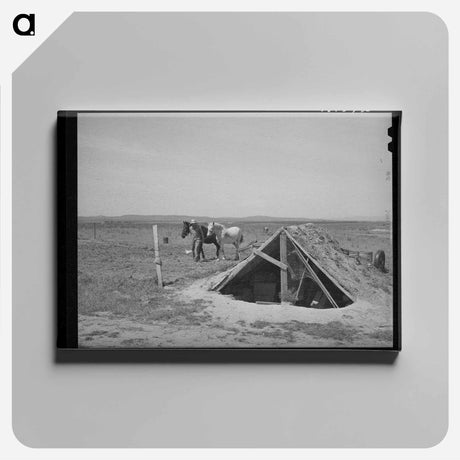 アートパネル-Chicken Shed on Farm of Mr. Browning
 - ラッセル リー Canvas.