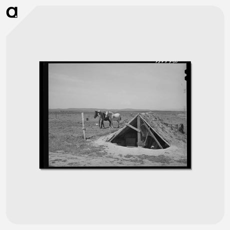 アートポストカード-Chicken Shed on Farm of Mr. Browning
 - ラッセル リー Postcard.