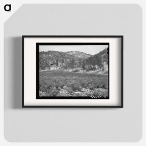 アートポスター-White House Canyon, Catron County, New Mexico
 - ラッセル リー Poster.