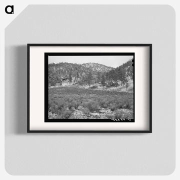 White House Canyon, Catron County, New Mexico
 - ラッセル リー Poster.