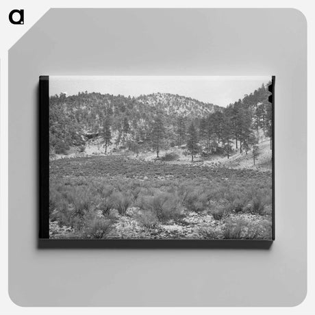 アートパネル-White House Canyon, Catron County, New Mexico
 - ラッセル リー Canvas.