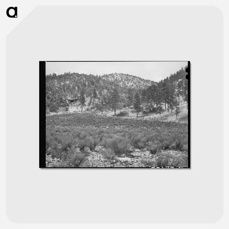 アートポストカード-White House Canyon, Catron County, New Mexico
 - ラッセル リー Postcard.
