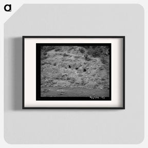 アートポスター-Gold Mining Tunnels, San Miguel County, Colorado
 - ラッセル リー Poster.