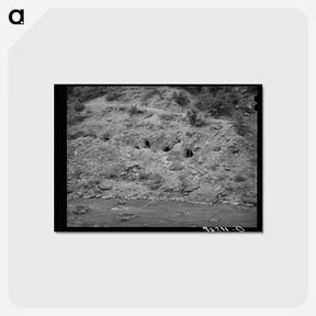 アートポストカード-Gold Mining Tunnels, San Miguel County, Colorado
 - ラッセル リー Postcard.