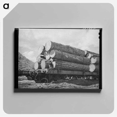 アートパネル-Logs on Flatcar from Mountain Logging Camp
 - ラッセル リー Canvas.