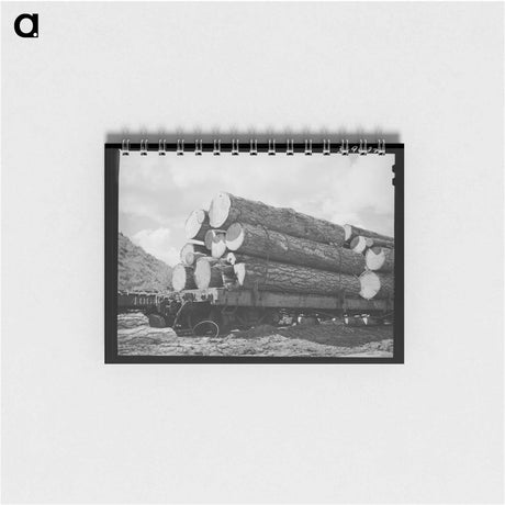 アートメモ帳-Logs on Flatcar from Mountain Logging Camp
 - ラッセル リー Memo.