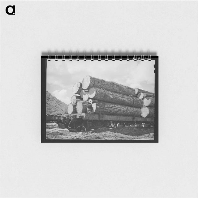 アートメモ帳-Logs on Flatcar from Mountain Logging Camp
 - ラッセル リー Memo.